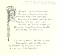 An illustration from Musings in Maoriland ... [In verse.] With an historical sketch by Sir Robert Stout and preface by Sir George Grey. Illustrated, etc (1890)