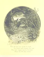 Picture 61 of 112 from Musings in Maoriland ... [In verse.] With an historical sketch by Sir Robert Stout and preface by Sir George Grey. Illustrated, etc (1890), leaf 209