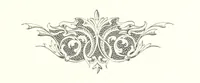 An illustration from Musings in Maoriland ... [In verse.] With an historical sketch by Sir Robert Stout and preface by Sir George Grey. Illustrated, etc (1890)