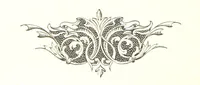 An illustration from Musings in Maoriland ... [In verse.] With an historical sketch by Sir Robert Stout and preface by Sir George Grey. Illustrated, etc (1890)