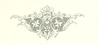An illustration from Musings in Maoriland ... [In verse.] With an historical sketch by Sir Robert Stout and preface by Sir George Grey. Illustrated, etc (1890)