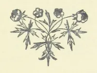 An illustration from All about Derbyshire ... With sixty illustrations, etc (1884)