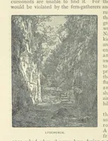 Picture 53 of 124 from All about Derbyshire ... With sixty illustrations, etc (1884), leaf 206