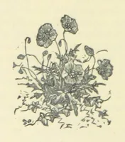 An illustration from All about Derbyshire ... With sixty illustrations, etc (1884)