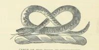 Picture 75 of 124 from All about Derbyshire ... With sixty illustrations, etc (1884), leaf 288