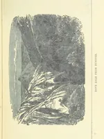 An illustration from All about Derbyshire ... With sixty illustrations, etc (1884)