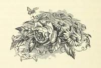 An illustration from Em; or, Spells and counter-spells (1878)