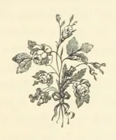 An illustration from Em; or, Spells and counter-spells (1878)