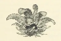 Picture 12 of 14 from Em; or, Spells and counter-spells (1878), leaf 271