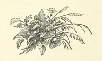 An illustration from Em; or, Spells and counter-spells (1878)