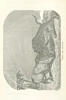 Picture 5 of 25 from Thrilling Adventures by Land and Sea. Being remarkable historical facts gathered from authentic sources. [With plates (1852), leaf 122