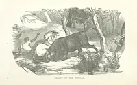 Picture 6 of 25 from Thrilling Adventures by Land and Sea. Being remarkable historical facts gathered from authentic sources. [With plates (1852), leaf 150