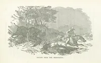 Picture 9 of 25 from Thrilling Adventures by Land and Sea. Being remarkable historical facts gathered from authentic sources. [With plates (1852), leaf 255
