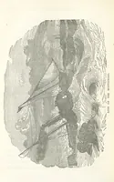 Picture 12 of 25 from Thrilling Adventures by Land and Sea. Being remarkable historical facts gathered from authentic sources. [With plates (1852), leaf 302