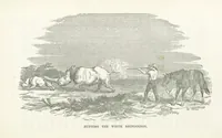 Picture 22 of 25 from Thrilling Adventures by Land and Sea. Being remarkable historical facts gathered from authentic sources. [With plates (1852), leaf 463