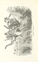 An illustration from Thrilling Adventures by Land and Sea. Being remarkable historical facts gathered from authentic sources. [With plates (1852)