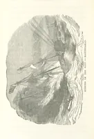 Picture 25 of 25 from Thrilling Adventures by Land and Sea. Being remarkable historical facts gathered from authentic sources. [With plates (1852), leaf 508