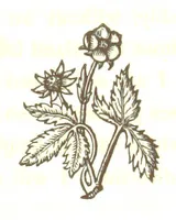 An illustration from Letters from Portugal, Spain, Sicily, and Malta, in 1812, 1813, and 1814 (1875)