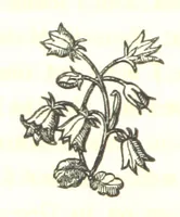 An illustration from Letters from Portugal, Spain, Sicily, and Malta, in 1812, 1813, and 1814 (1875)