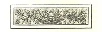 An illustration from Letters from Portugal, Spain, Sicily, and Malta, in 1812, 1813, and 1814 (1875)