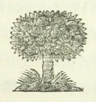 An illustration from Poems on several occasions (1739)