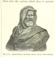 Picture 111 of 279 from Our Earth and its Story: a popular treatise on physical geography. Edited by R. Brown. With ... coloured plates and maps, etc (1887), leaf 155