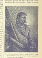 Picture 124 of 279 from Our Earth and its Story: a popular treatise on physical geography. Edited by R. Brown. With ... coloured plates and maps, etc (1887), leaf 166