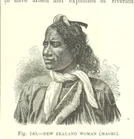 Picture 138 of 279 from Our Earth and its Story: a popular treatise on physical geography. Edited by R. Brown. With ... coloured plates and maps, etc (1887), leaf 179