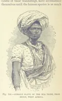 Picture 141 of 279 from Our Earth and its Story: a popular treatise on physical geography. Edited by R. Brown. With ... coloured plates and maps, etc (1887), leaf 184