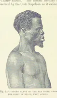 Picture 142 of 279 from Our Earth and its Story: a popular treatise on physical geography. Edited by R. Brown. With ... coloured plates and maps, etc (1887), leaf 184