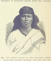 Picture 147 of 279 from Our Earth and its Story: a popular treatise on physical geography. Edited by R. Brown. With ... coloured plates and maps, etc (1887), leaf 190