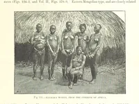 Picture 150 of 279 from Our Earth and its Story: a popular treatise on physical geography. Edited by R. Brown. With ... coloured plates and maps, etc (1887), leaf 195