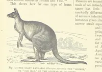An illustration from Our Earth and its Story: a popular treatise on physical geography. Edited by R. Brown. With ... coloured plates and maps, etc (1887)