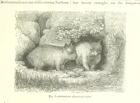 Picture 6 of 279 from Our Earth and its Story: a popular treatise on physical geography. Edited by R. Brown. With ... coloured plates and maps, etc (1887), leaf 21