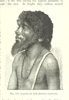 Picture 172 of 279 from Our Earth and its Story: a popular treatise on physical geography. Edited by R. Brown. With ... coloured plates and maps, etc (1887), leaf 211