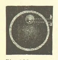 An illustration from Our Earth and its Story: a popular treatise on physical geography. Edited by R. Brown. With ... coloured plates and maps, etc (1887)