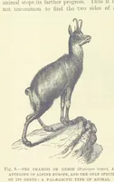 An illustration from Our Earth and its Story: a popular treatise on physical geography. Edited by R. Brown. With ... coloured plates and maps, etc (1887)