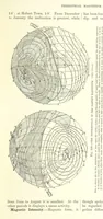 Picture 224 of 279 from Our Earth and its Story: a popular treatise on physical geography. Edited by R. Brown. With ... coloured plates and maps, etc (1887), leaf 297