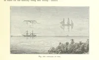 Picture 236 of 279 from Our Earth and its Story: a popular treatise on physical geography. Edited by R. Brown. With ... coloured plates and maps, etc (1887), leaf 319