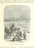 An illustration from Our Earth and its Story: a popular treatise on physical geography. Edited by R. Brown. With ... coloured plates and maps, etc (1887)