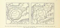 Picture 252 of 279 from Our Earth and its Story: a popular treatise on physical geography. Edited by R. Brown. With ... coloured plates and maps, etc (1887), leaf 350