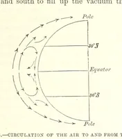Picture 255 of 279 from Our Earth and its Story: a popular treatise on physical geography. Edited by R. Brown. With ... coloured plates and maps, etc (1887), leaf 353