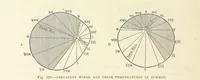 Picture 257 of 279 from Our Earth and its Story: a popular treatise on physical geography. Edited by R. Brown. With ... coloured plates and maps, etc (1887), leaf 356