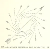 Picture 262 of 279 from Our Earth and its Story: a popular treatise on physical geography. Edited by R. Brown. With ... coloured plates and maps, etc (1887), leaf 369