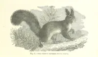 An illustration from Our Earth and its Story: a popular treatise on physical geography. Edited by R. Brown. With ... coloured plates and maps, etc (1887)