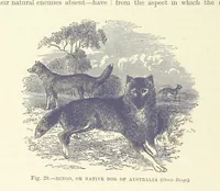 An illustration from Our Earth and its Story: a popular treatise on physical geography. Edited by R. Brown. With ... coloured plates and maps, etc (1887)