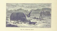 Picture 31 of 279 from Our Earth and its Story: a popular treatise on physical geography. Edited by R. Brown. With ... coloured plates and maps, etc (1887), leaf 70