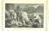 Picture 32 of 279 from Our Earth and its Story: a popular treatise on physical geography. Edited by R. Brown. With ... coloured plates and maps, etc (1887), leaf 71