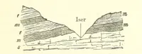 An illustration from Our Earth and its Story: a popular treatise on physical geography. Edited by R. Brown. With ... coloured plates and maps, etc (1893)