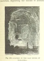 Picture 116 of 418 from Our Earth and its Story: a popular treatise on physical geography. Edited by R. Brown. With ... coloured plates and maps, etc (1893), leaf 309